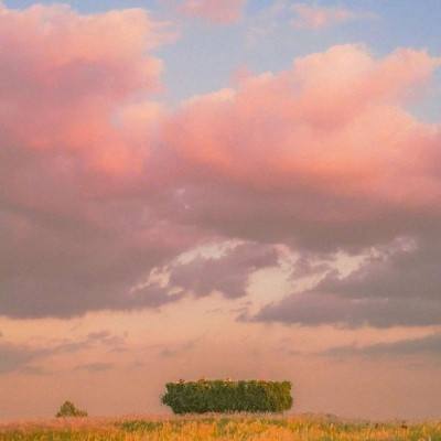 开心美人鱼图画册