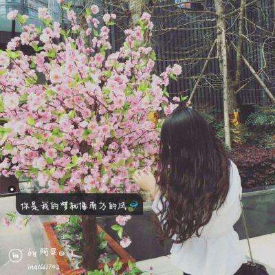 严格驾照考试无敌版